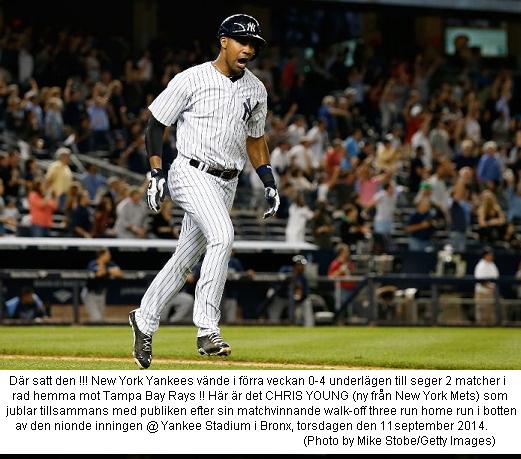 Yankees C Young walk off jubel vs. Rays 20140911