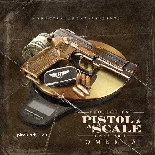 PP pistol scale -cover -20